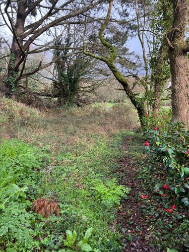 Terrains de loisirs bois etangs a vendre Saint-Nic 29550 Finistère 3000 m2  4000 euros