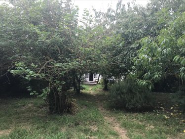 Maison a vendre Plouhinec 56680 Morbihan 120 m2 5 pièces 458500 euros