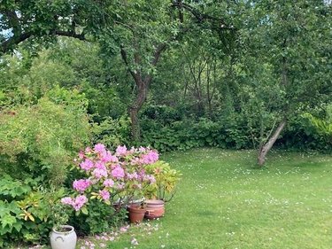 Maison a vendre Arques-la-Bataille 76880 Seine-Maritime 147 m2 6 pièces 232000 euros