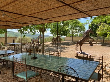 Maison a vendre Gréoux-les-Bains 04800 Alpes-de-Haute-Provence 445 m2 16 pièces 1350000 euros