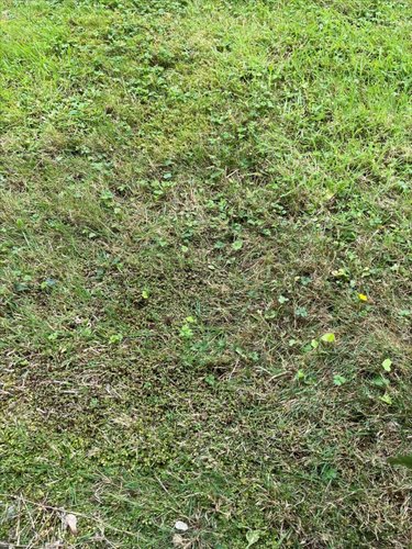 Terrain a batir a vendre Saint-Jouan-des-Guérets 35430 Ille-et-Vilaine 315 m2  163642 euros