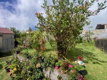 Maison a vendre La-Plaine-Des-Cafres 97418 Réunion 120 m2 6 pièces 273000 euros
