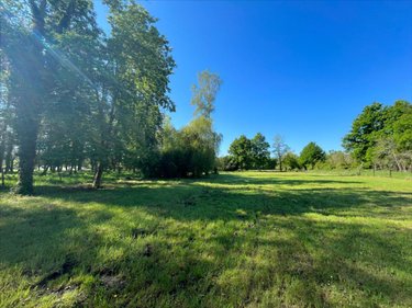 Maison a vendre Cour-Cheverny 41700 Loir-et-Cher 84 m2 4 pièces 210650 euros