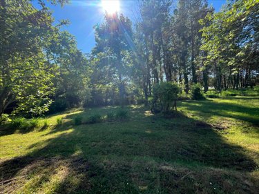 Maison a vendre Cour-Cheverny 41700 Loir-et-Cher 84 m2 4 pièces 199190 euros