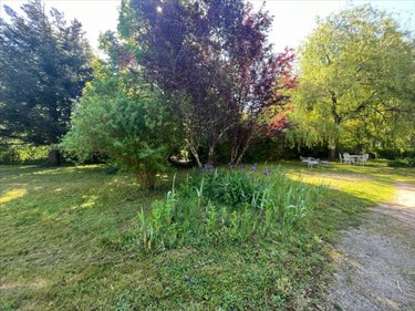 Maison a vendre Cour-Cheverny 41700 Loir-et-Cher 84 m2 4 pièces 199190 euros