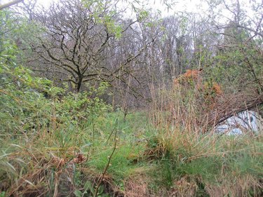 Maison a vendre Ploërdut 56160 Morbihan 83 m2 3 pièces 47700 euros