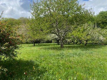 Maison a vendre Novillars 25220 Doubs 130 m2 6 pièces 329700 euros