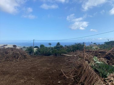 Terrain a batir a vendre L'Étang-Salé 97427 Réunion 572 m2  211000 euros