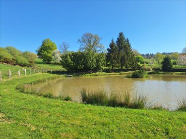 Terrains de loisirs bois etangs a vendre Juvigné 53380 Mayenne 2382 m2  22500 euros