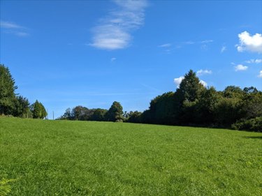 Maison a vendre Guiscriff 56560 Morbihan 139 m2 5 pièces 262940 euros