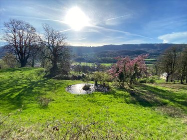 Maison a vendre Vic-sur-Cère 15800 Cantal 450 m2 10 pièces 668800 euros