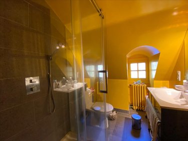 Maison a vendre Vic-sur-Cère 15800 Cantal 450 m2 10 pièces 668800 euros