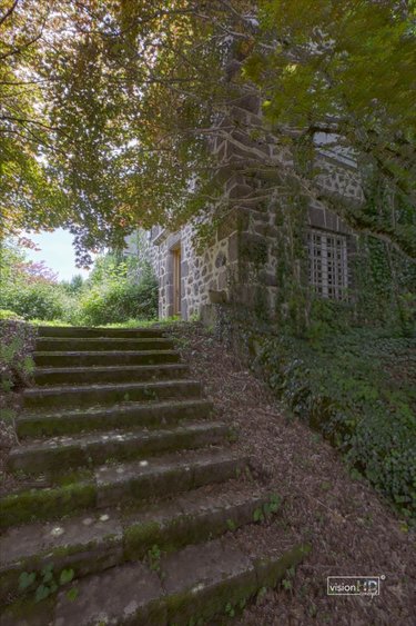 Maison a vendre Vic-sur-Cère 15800 Cantal 450 m2 10 pièces 668800 euros