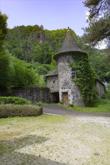 Maison a vendre Vic-sur-Cère 15800 Cantal 450 m2 10 pièces 668800 euros