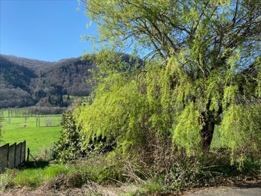 Maison a vendre Vic-sur-Cère 15800 Cantal 78 m2 4 pièces 90100 euros