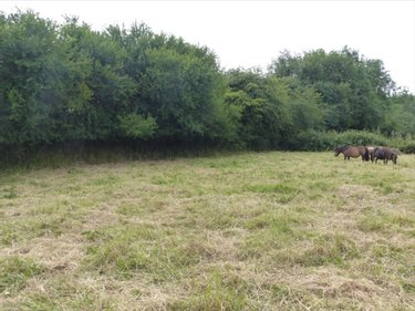 Terrain a batir a vendre La Haye 50250 Manche 683 m2  32160 euros