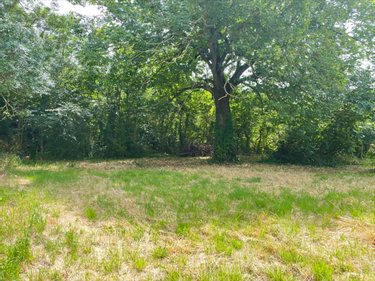 Terrain a batir a vendre Thairé 17290 Charente-Maritime 1103 m2  168000 euros