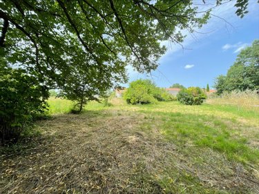 Terrain a batir a vendre Thairé 17290 Charente-Maritime 1103 m2  168000 euros