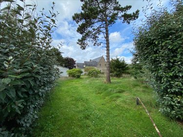 Terrain a batir a vendre Réville 50760 Manche 800 m2  434400 euros