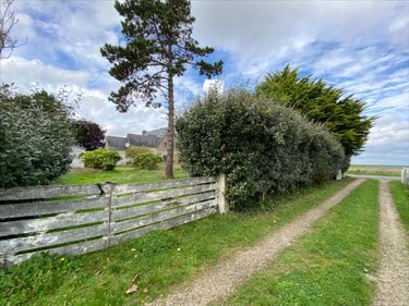 Terrain a batir a vendre Réville 50760 Manche 800 m2  434400 euros