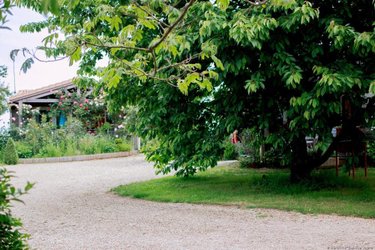 Maison a vendre Saint-Germain-de-Lusignan 17500 Charente-Maritime 110 m2 7 pièces 378000 euros
