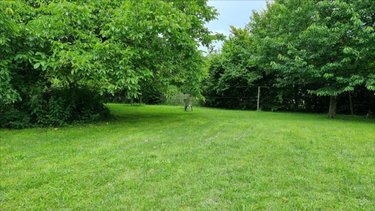Maison a vendre Jonzac 17500 Charente-Maritime 177 m2 8 pièces 241500 euros