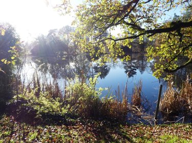 Maison a vendre Langoëlan 56160 Morbihan 130 m2 5 pièces 163230 euros