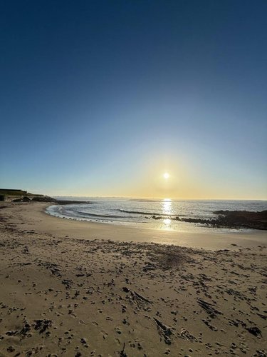 Appartement a vendre Larmor-Plage 56260 Morbihan 45 m2 2 pièces 348500 euros