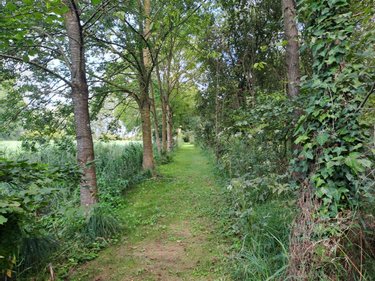 Terrains de loisirs bois etangs a vendre Andres 62340 Pas-de-Calais 23310 m2  219060 euros