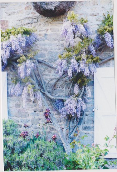 Maison a vendre Brech 56400 Morbihan 150 m2  536975 euros