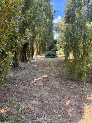 Terrain a batir a vendre Crouzilles 37220 Indre-et-Loire 2334 m2  33600 euros