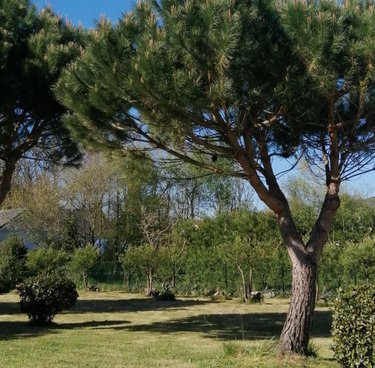 Terrain a batir a vendre Mesquer 44420 Loire-Atlantique 635 m2  291200 euros