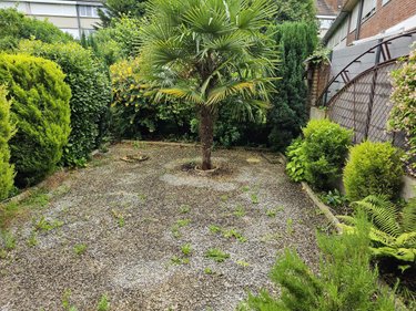 Location maison Cambrai 59400 Nord 120 m2 5 pièces 930 euros