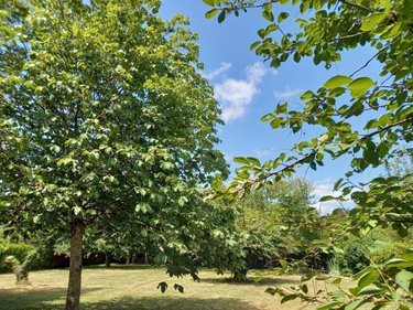 Terrain a batir a vendre Châtelain 53200 Mayenne 1016 m2  32100 euros
