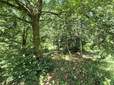Maison a vendre Augan 56800 Morbihan 119 m2  251390 euros