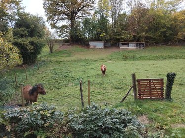 Maison a vendre Pezé-le-Robert 72140 Sarthe 49 m2 2 pièces 66708 euros