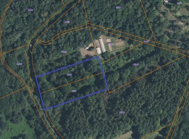 Terrains de loisirs bois etangs a vendre Monteneuf 56380 Morbihan 6010 m2  16400 euros