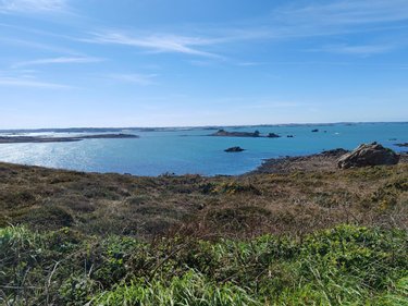 Terrain a batir a vendre Plougasnou 29630 Finistère 479 m2  72725 euros
