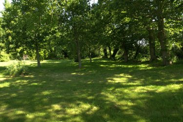 Maison a vendre Riec sur Bélon 29340 Finistère 231 m2 8 pièces 600875 euros