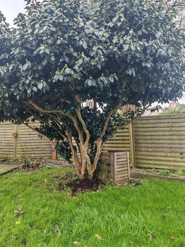 Location maison Plougonven 29640 Finistère 69 m2  750 euros