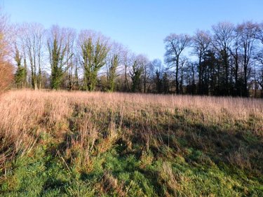 Terrains de loisirs bois etangs a vendre Locmalo 56160 Morbihan 4900 m2  26650 euros
