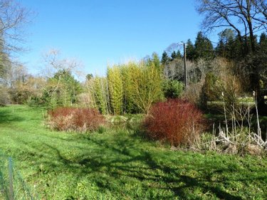 Maison a vendre Lignol 56160 Morbihan 148 m2 7 pièces 208170 euros