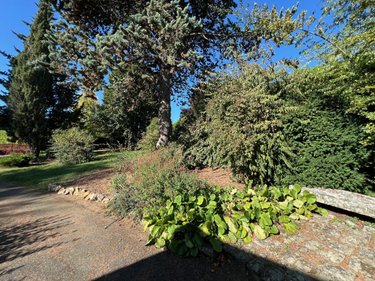 Maison a vendre Le Thoureil 49350 Maine-et-Loire 183 m2 7 pièces 393920 euros