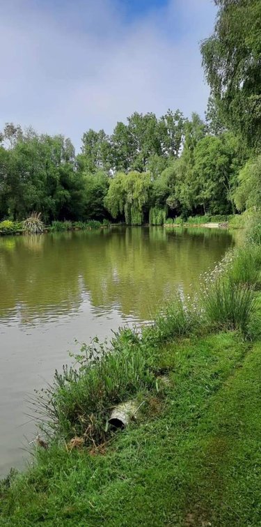 Divers a vendre Crédin 56580 Morbihan 7880 m2  53000 euros