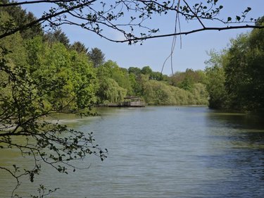Terrains de loisirs bois etangs a vendre La Roche-Neuville 53200 Mayenne 31445 m2  95700 euros