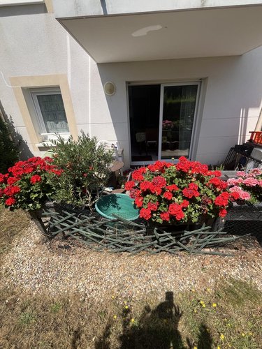 Appartement a vendre Ploeren 56880 Morbihan 59 m2 3 pièces 259700 euros