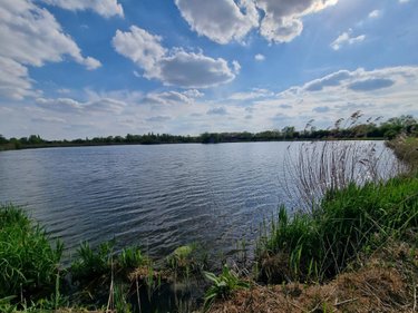 Terrains de loisirs bois etangs a vendre Clairmarais 62500 Pas-de-Calais 37503 m2  312000 euros