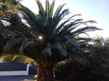 Maison a vendre Guidel 56520 Morbihan 101 m2 5 pièces 416000 euros