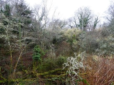 Terrains de loisirs bois etangs a vendre Saint-Tugdual 56540 Morbihan 13922 m2  10600 euros