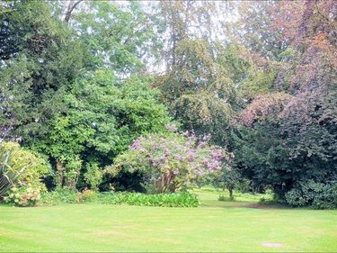 Maison a vendre Saint-Sauveur-le-Vicomte 50390 Manche 430 m2 15 pièces 577500 euros